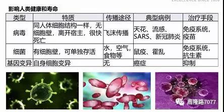 郴州市维达金属设备厂,不锈钢制管机,不锈钢工业管制管机,汽车排气管制管机,不锈钢饮用水管制管机,热交换管制管机,精密焊管制管机,